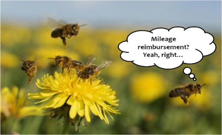 Online Jobs work from home worker bees