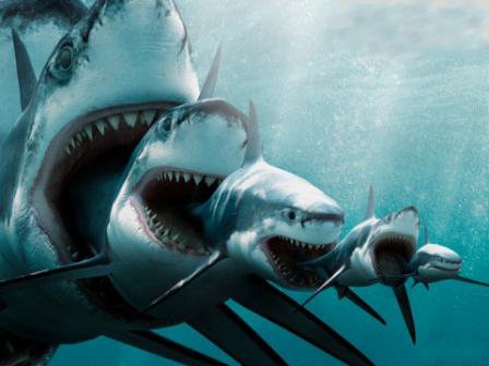 marketing operations governance sharks