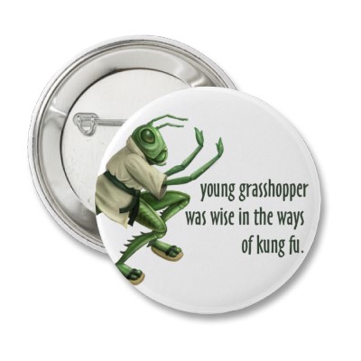 Kung Fu grasshopper pin