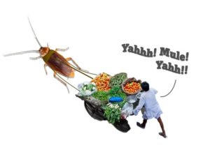 green business with roaches