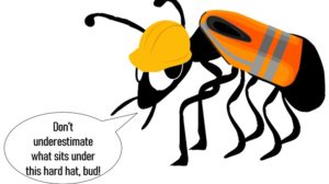 online business to start like a bug