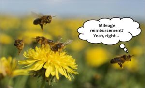 Online Jobs work from home worker bees