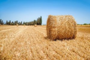 small business marketing techniques in technology hay stack