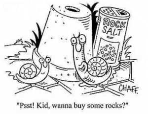 starting a new business to make money quick slugs